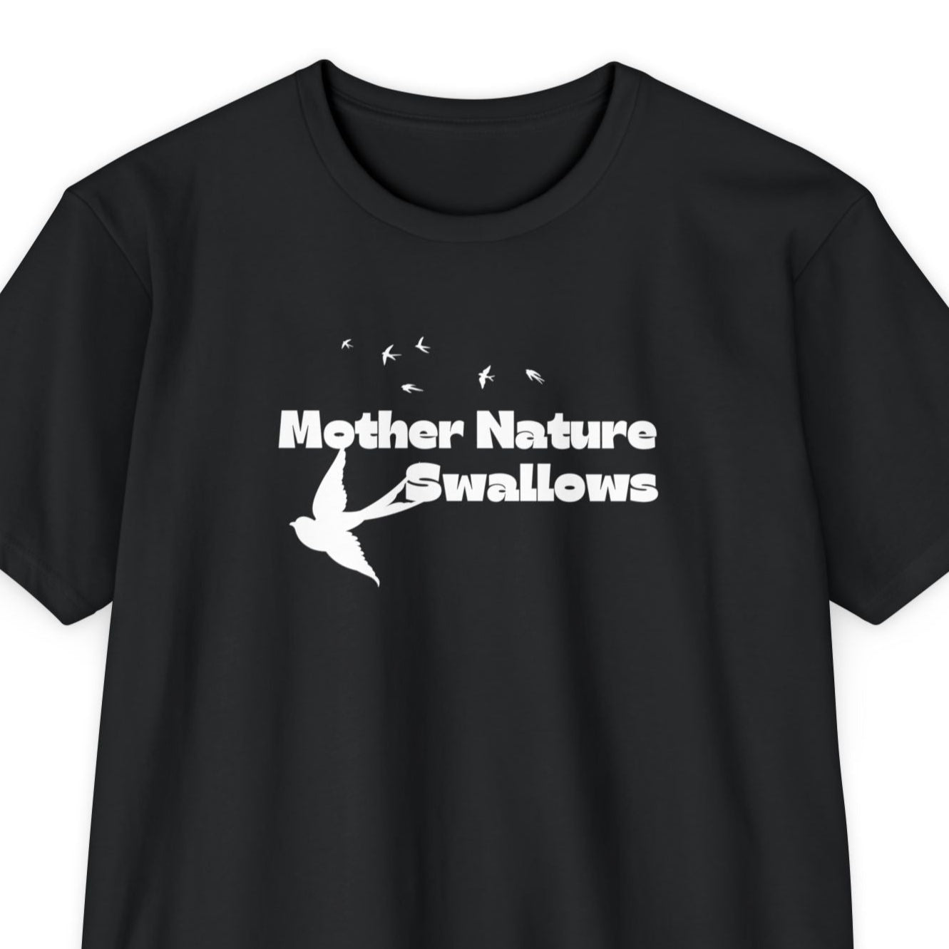 Mother Nature Swallows